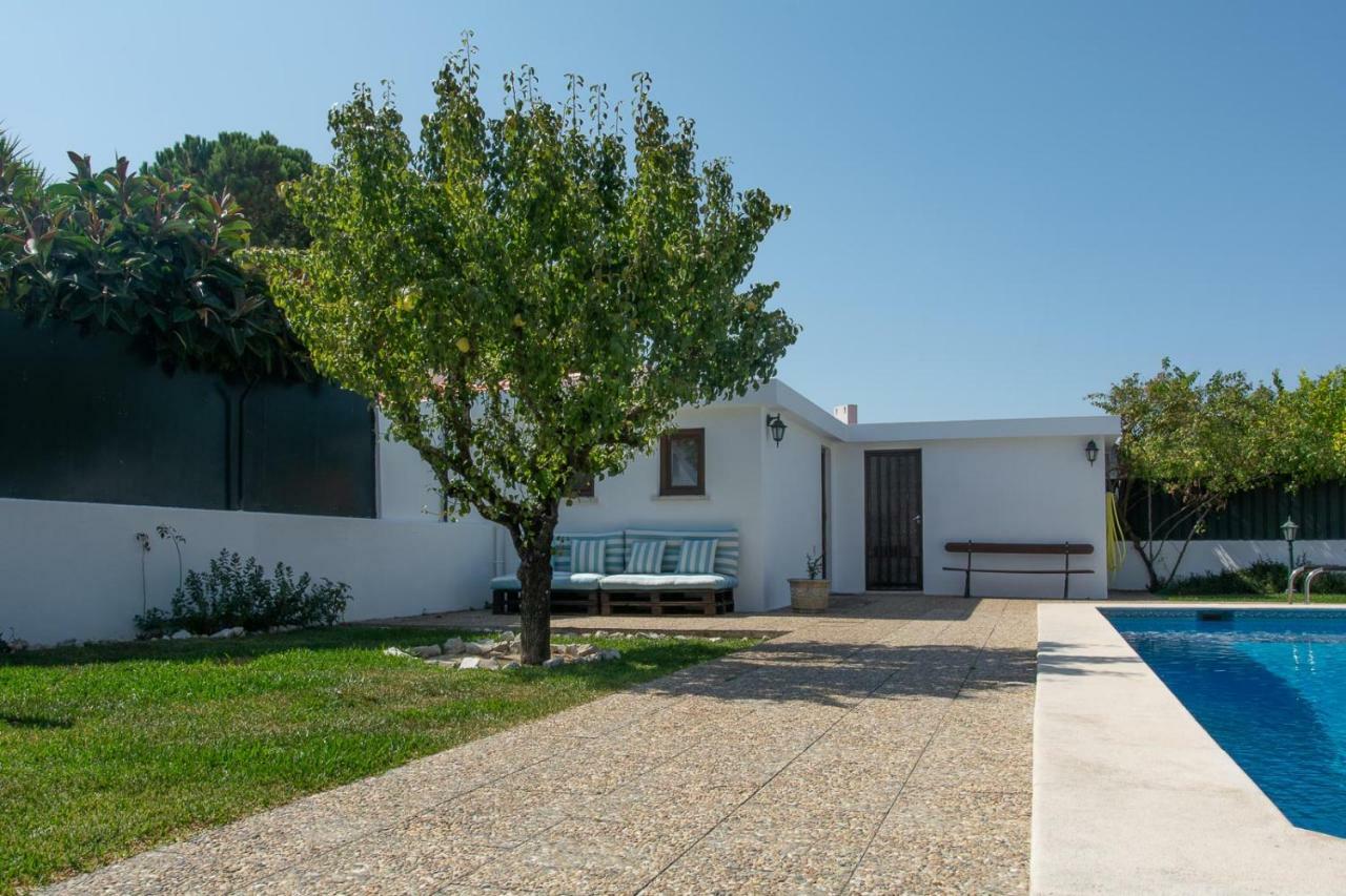 Casa Da Quintinha - Villa With A Pool เซซิมบรา ภายนอก รูปภาพ